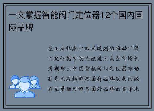 一文掌握智能阀门定位器12个国内国际品牌